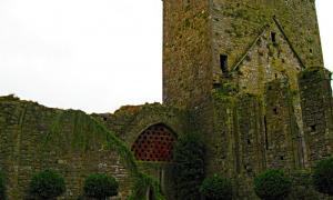 St. Dominic's Friary in Cashel